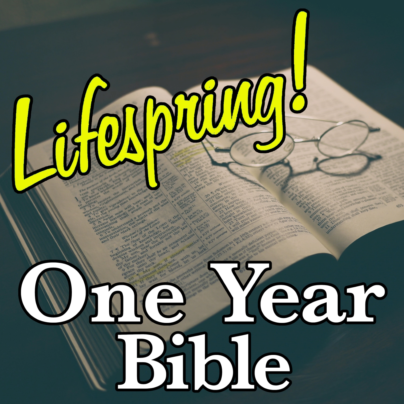 S13E292ArtSWS1400-bible opened to Proverbs