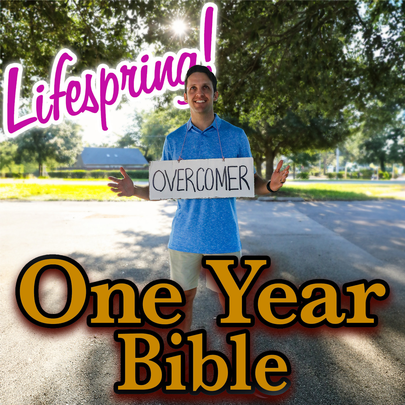 S13E316ArtJLP1400-overcomer