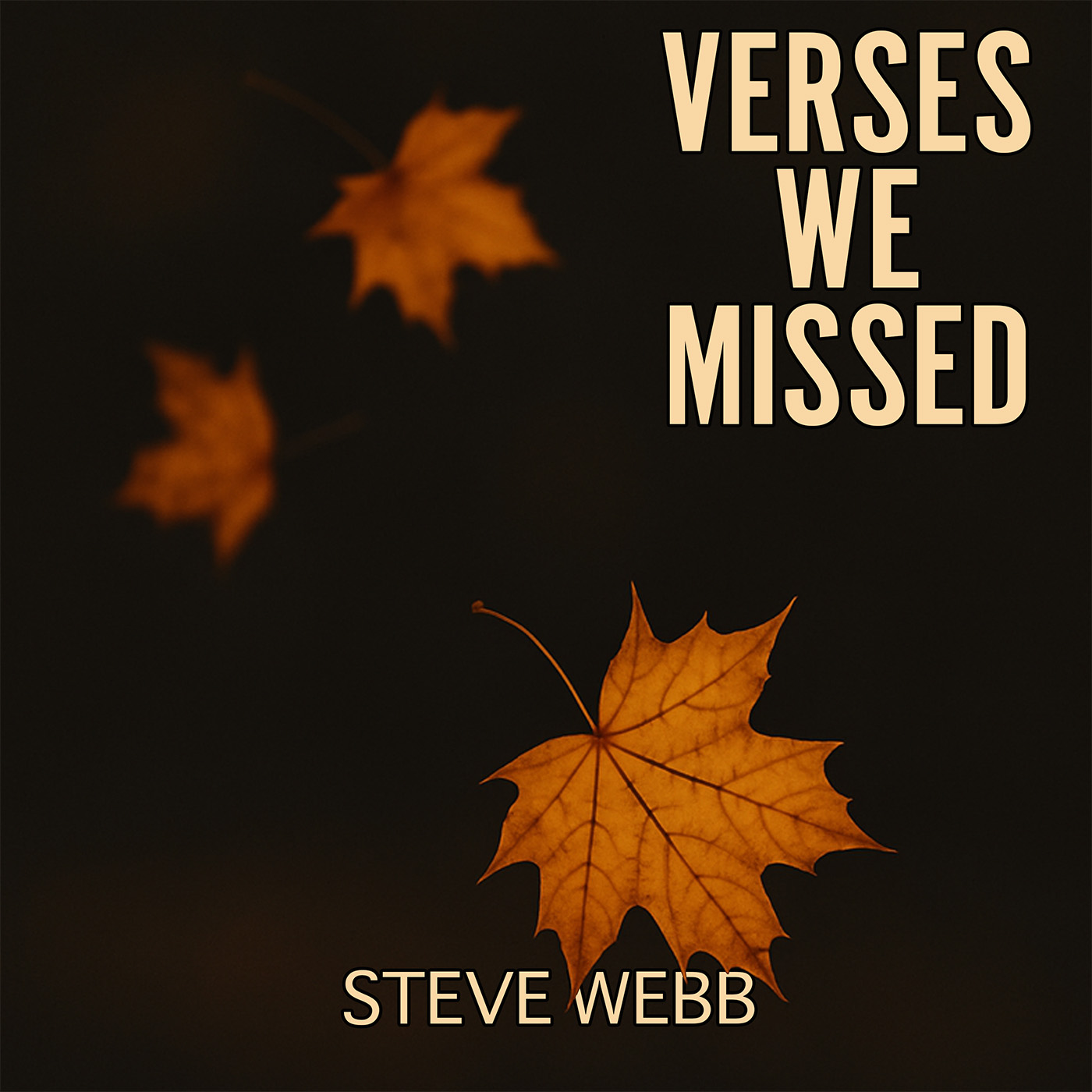 Thanksgiving gratitude autumn leaves