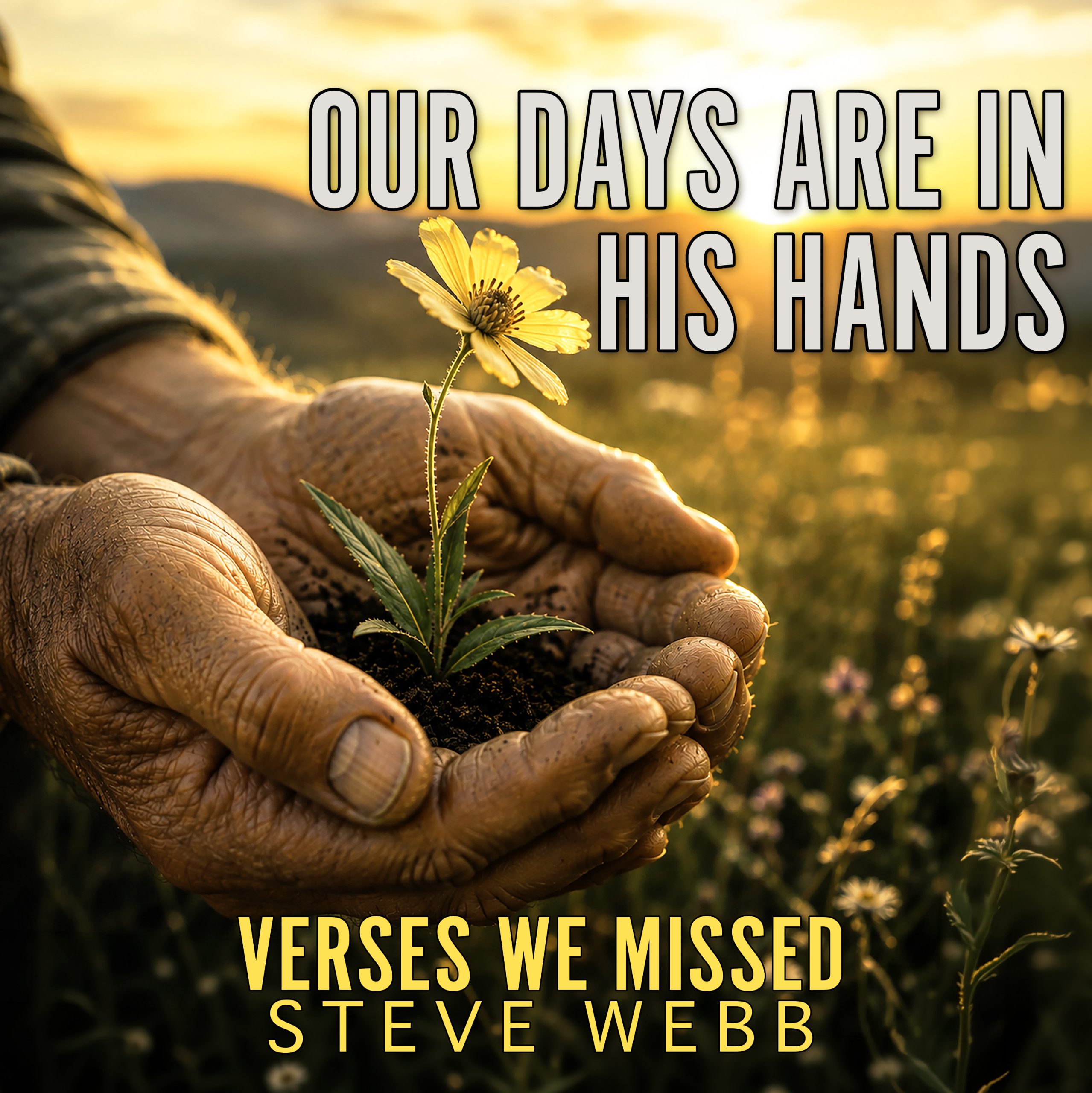 Our Days Are In His Hands - Job 14:1-6 - Verses We Missed podcast artwork